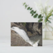 シダークリーク滝 ポストカード (スタンド正面)