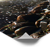 シダーツリーネック16x20 ポスター (角)