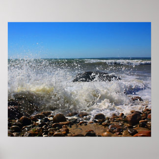 シダーツリーネック16x20 ポスター