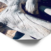 シダーブレイクナショナルモニュメントブランチ ポスター (コーナー)