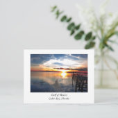 シダーポイントフロリダ ポストカード (スタンド正面)