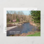 シダーリバービーチはがき ポストカード (正面/裏面)