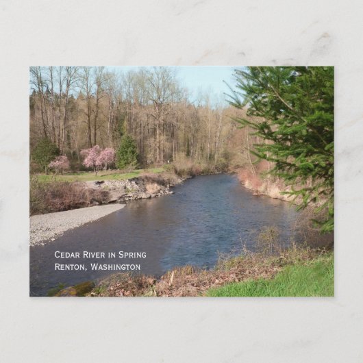 シダーリバービーチはがき ポストカード (正面)