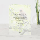 シダーワクイング カード (裏面)