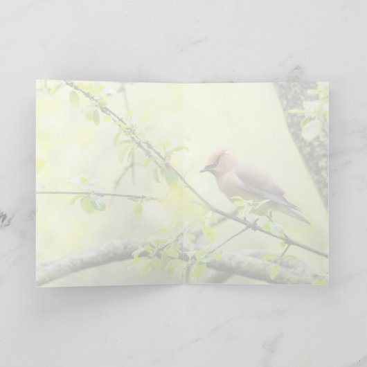 シダーワクイング カード (内部)