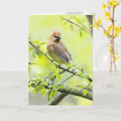 シダーワクイング カード (黄色い花)