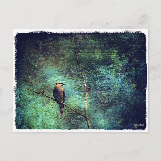 シダーワクイング ポストカード (正面)