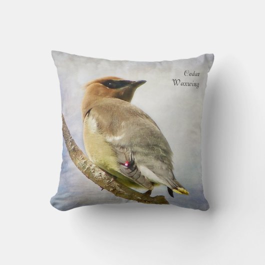 シダーワクウィング装飾用クッション クッション (正面)