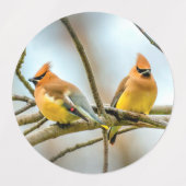 シダーワクウィング – オリジナル写真 ラベル (デザイン1)