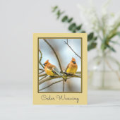 シダーワックスウィングオリジナル写真 ポストカード (スタンド正面)