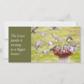 シダーワックスウィングズの狂った群れ 案内状 (正面)