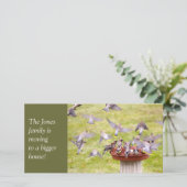 シダーワックスウィングズの狂った群れ 案内状 (スタンド正面)