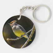 シダーワックスウィングソンバードオリジナルワイルドバードフォト キーホルダー (裏面)