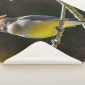 シダーワックスウィングソンバードオリジナルワイルドバードフォト シェルパブランケット (3/4)