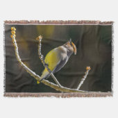 シダーワックスウィングソンバードオリジナルワイルドバードフォト スローブランケット (正面)
