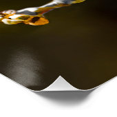 シダーワックスウィングソンバードオリジナルワイルドバードフォト ポスター (コーナー)