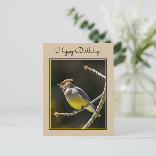 シダーワックスウィングソンバードオリジナルワイルドバードフォト ポストカード (スタンド正面)