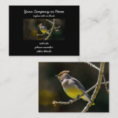 シダーワックスウィングソンバードオリジナルワイルドバードフォト 名刺 (正面/裏面)