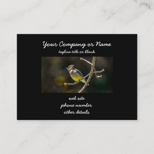 シダーワックスウィングソンバードオリジナルワイルドバードフォト 名刺 (正面)