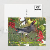 シダーワックスウィングデイリーパンポストカード ポストカード (正面/裏面)