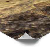 シダーワックスウィングポスター ポスター (角)