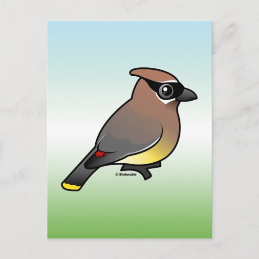 シダーワックスウィング ポストカード (正面)