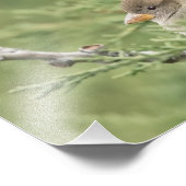 シダー写真撮影プリント フォトプリント            (角)