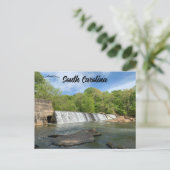 シダー秋ズパークサウスカロライナ ポストカード (スタンド正面)