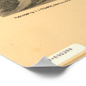 シダー鍵フロリダ1884アンティークパノラママップ ポスター (角)