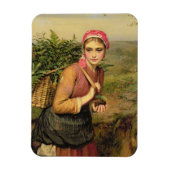 シダ収集家 マグネット (縦)