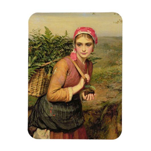 シダ収集家 マグネット (縦)