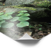 シダ春ヨセミテ国立公園 フォトプリント            (角)