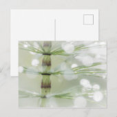 シダ植物に置かれた露滴 | ワシントン州シーベック ポストカード (正面/裏面)