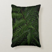 シダ植物 アクセントクッション (正面(垂直))
