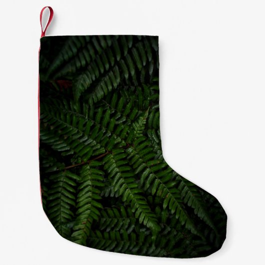 シダ植物 スモールクリスマスストッキング (正面)