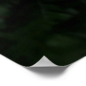 シダ植物 ポスター (角)