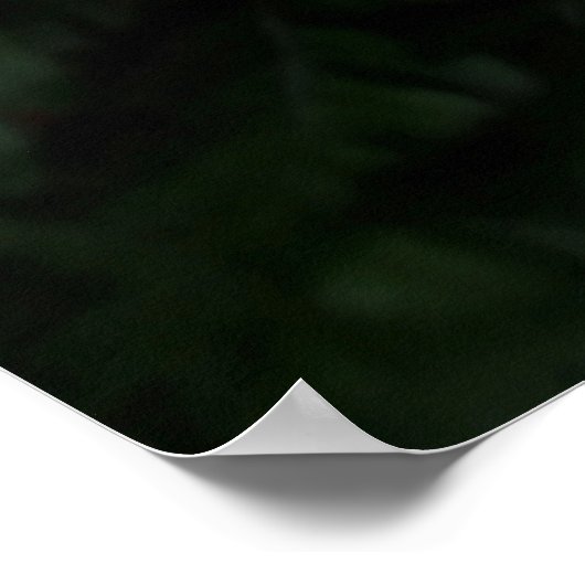 シダ植物 ポスター (角)