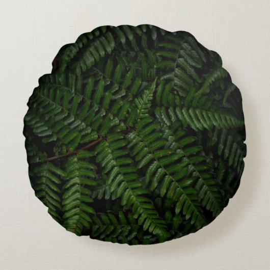 シダ植物 ラウンドクッション (正面)