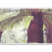 シダ熱帯雨林 シール (正面)