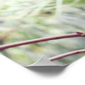 シダ熱帯雨林 ポスター (角)