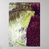 シダ熱帯雨林 ポスター (正面)