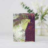 シダ熱帯雨林 ポストカード (スタンド正面)