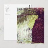 シダ熱帯雨林 ポストカード (正面/裏面)