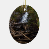 シダ秋アットロッキーマウンテン国立公園 セラミックオーナメント (右)