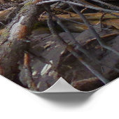 シダ秋アットロッキーマウンテン国立公園 ポスター (角)