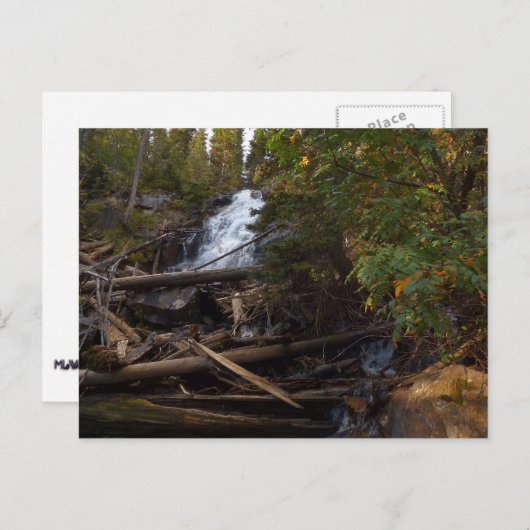 シダ秋アットロッキーマウンテン国立公園 ポストカード (正面/裏面)