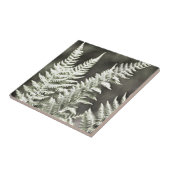 シダ芸術的抽象芸術 タイル (側面)