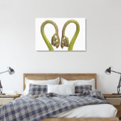 シダ芽2 キャンバスプリント (インサイチュ (寝室))