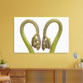 シダ芽2 キャンバスプリント (インサイチュ (リビング))