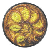 シダ葉 アイスホッケーパック (正面)